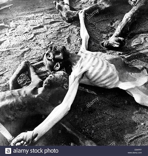 Images of the skeleton corpses at Bergen Belsen Nazi ...