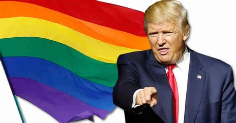 Impacto victoria de Donald Trump en la comunidad LGBTI
