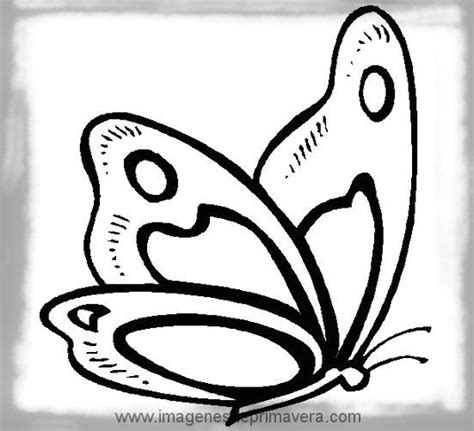 Impresionantes Dibujos de Mariposas para Imprimir en ...