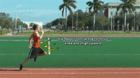 Improve Running Speed, Stride and Turnover Rate with Hip ...