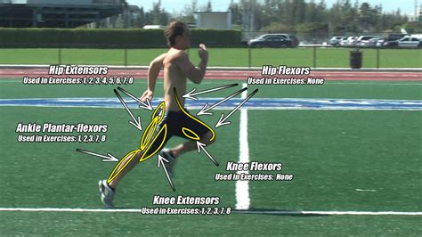 Improve Your 40 Speed by Increasing Your Running Stride ...