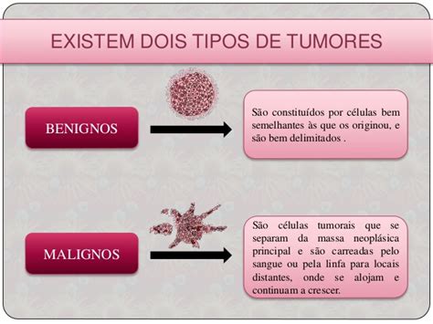 Imunidade aos tumores