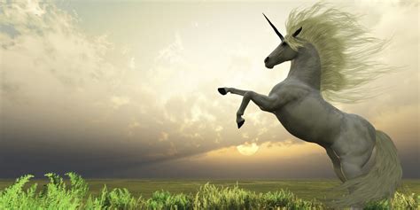 In Search of the Unicorn | HuffPost