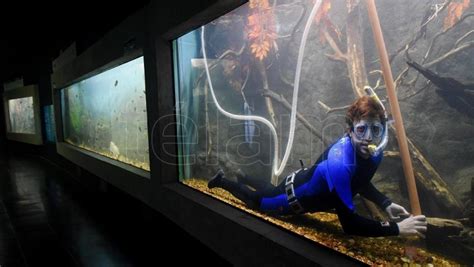 Inauguran en Rosario el acuario de agua dulce más grande ...