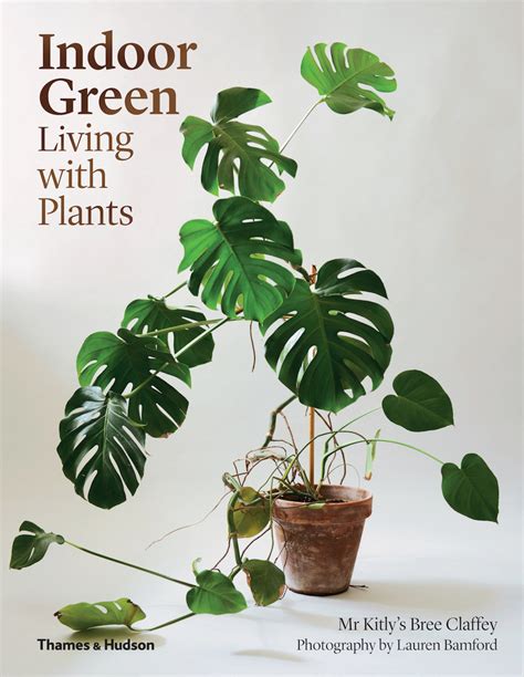 Indoor Green : Living with Plants: Gardenista
