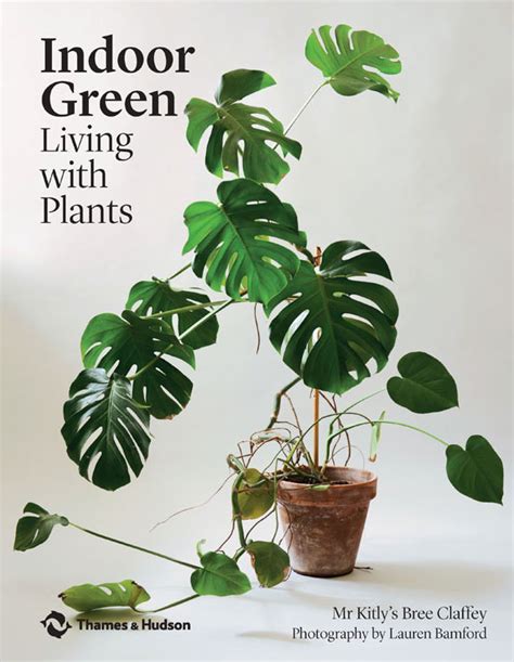 indoor green: living with plants – CHILD