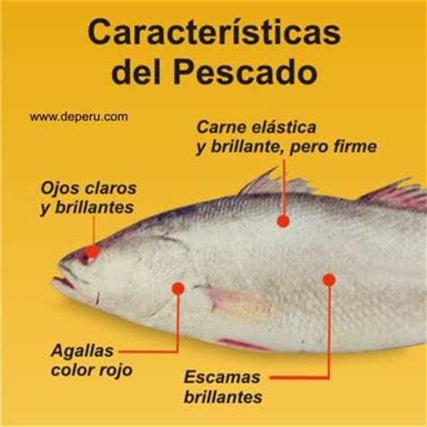 INDUSTRIA CARNICA: caracteristicas de la carne de pescado