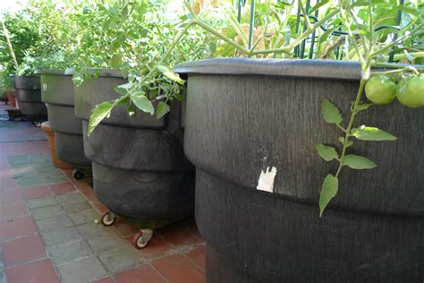 inexpensive planters   28 images   inexpensive concrete ...