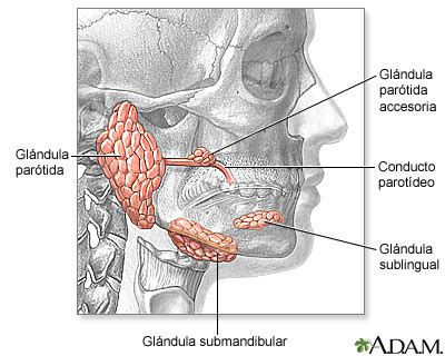 Infecciones de las glándulas salivales