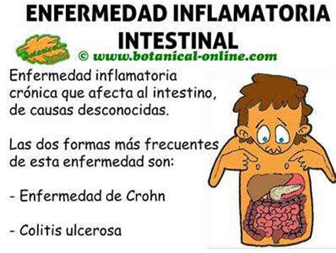 Inflamación del intestino