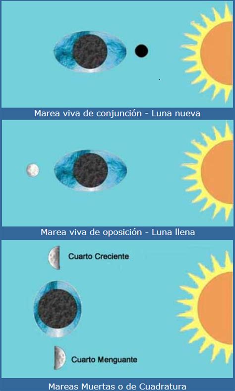 Influencia de las fases de la luna en las mareas | Ciencia ...