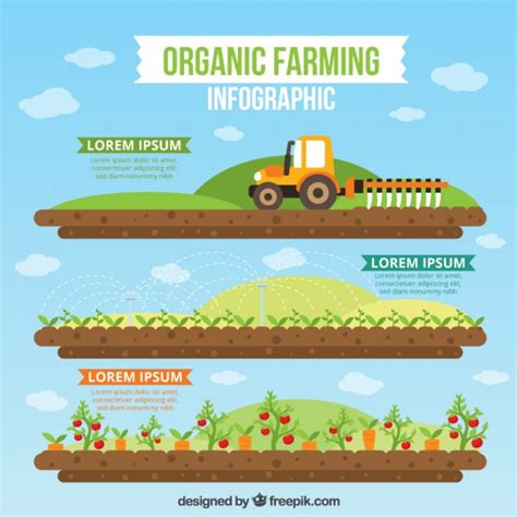 Infografia agricultura biológica no design plano | Baixar ...