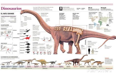 Infografía De La Anatomía Del Argentinosaurus Y ...