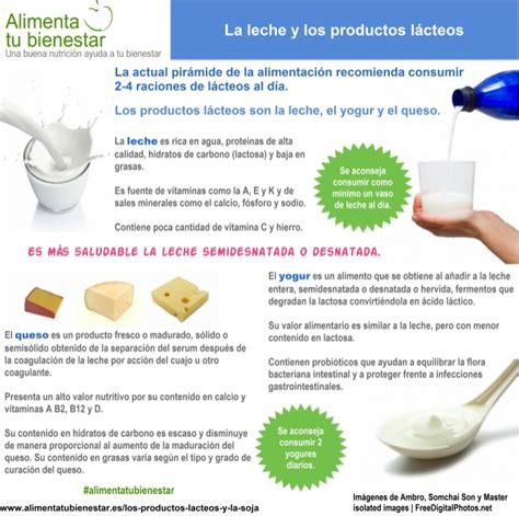 Infografia La leche y los productos lacteos