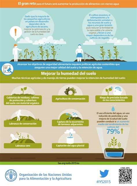 Infografía: Los #suelos almacenan y filtran #agua | i·ambiente