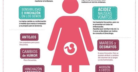 Infografia sintomas embarazo web | Embarazo | Pinterest ...