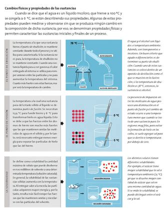 Infografías de biología, química y física   Recursos educ.ar