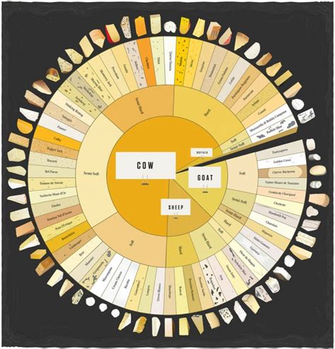 Infographic: An Illustrated Guide to 66 Types of Cheese ...