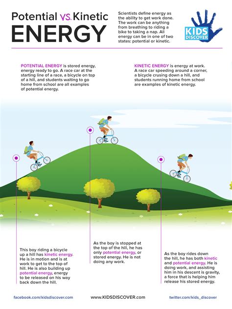 Infographic: Potential vs. Kinetic Energy   Kids Discover