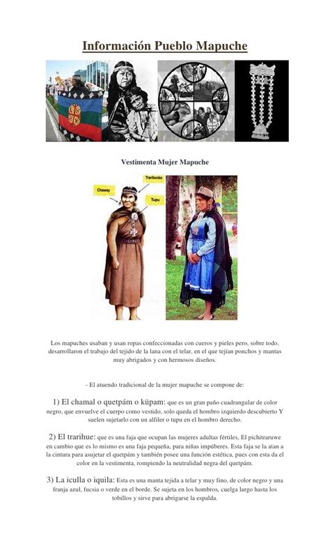Información pueblo mapuche