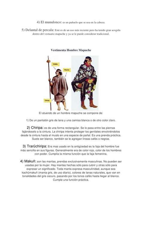 Información pueblo mapuche