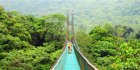 Información sobre Costa Rica: Monte verde