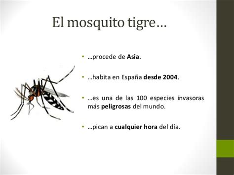 Informacion sobre trampas para mosquitos
