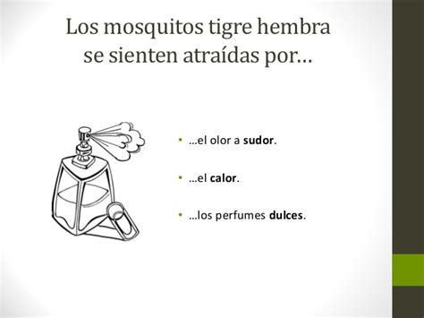Informacion sobre trampas para mosquitos