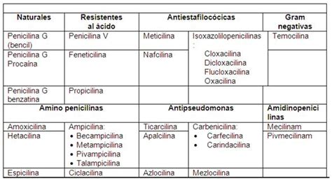 Informe de experimento: La Penicilina   Monografias.com