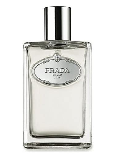 Infusion d`Homme Prada cologne   a fragrance for men 2008