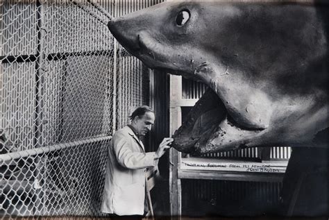Ingmar Bergman and the shark from Jaws by John Bryson, 1975
