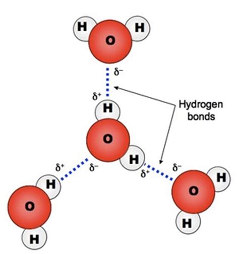 Inorganic Molecules | Brent Cornell