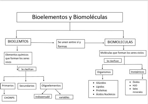 Insatisfacción Corporal: biomoleculas y bioelementos