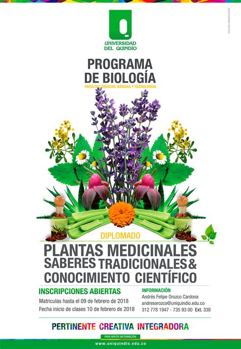 Inscripciones Abiertas Diplomado en Plantas Medicinales ...