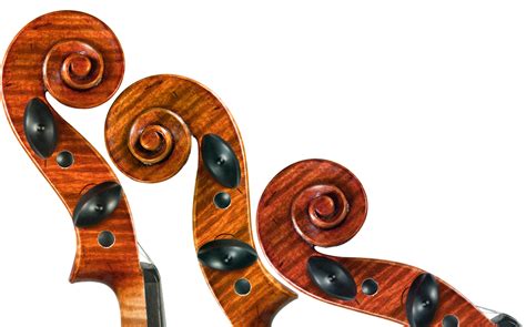 Instrumentos de Cuerda | Los instrumentos musicales