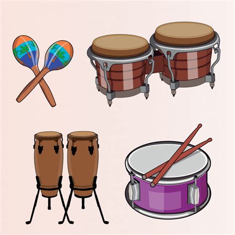 Instrumentos de percusión realistas | Descargar Vectores ...