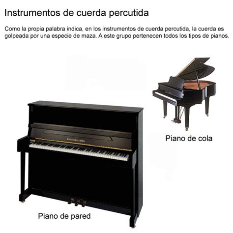 Instrumentos Musicales   musicammartinez