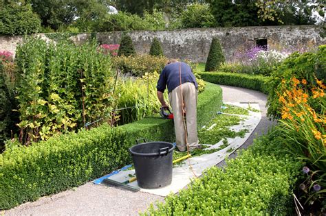 INTEC   MANTENIMIENTO DE PARQUES Y JARDINES