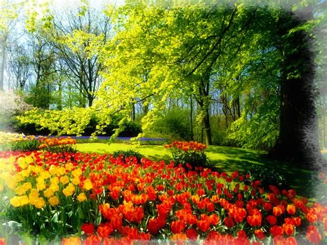Intensos Colores en Imágenes de Primavera Bonitas ...