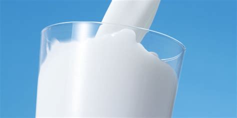 Interesting Facts about Milk | Dairy Moos