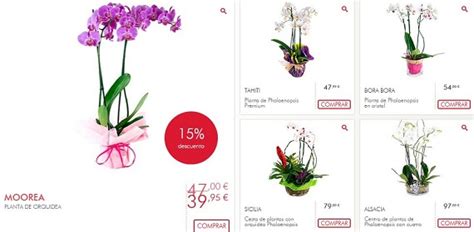 Interflora: opiniones sobre plantas, rosas y orquídeas online