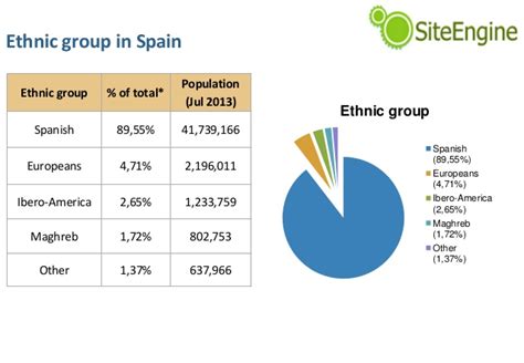 Internet Market Survey in Spain