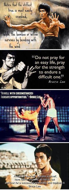 Internet memes, Bruce lee and The text on Pinterest