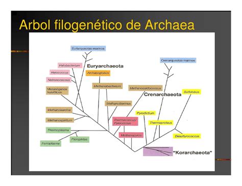 IntroduccióN Curso De MicrobiologíA General