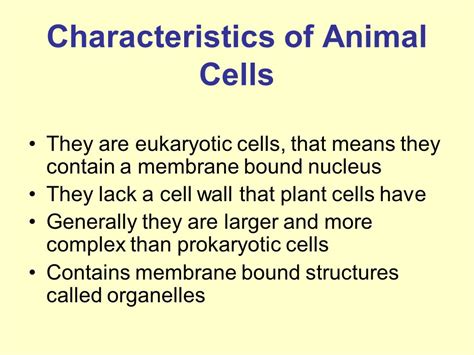 Introduction to Animal Cells   ppt video online download