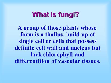 INTRODUCTION TO FUNGI.   ppt download