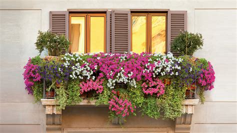 Inunda el Exterior de Tu Casa con Flores y Plantas | Ideas ...