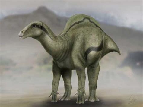 Investigadores descubren nueva especie de dinosaurio en ...