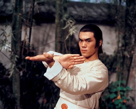 Invincible Shaolin 南少林與北少林  1978  by Shaw Brothers   Heat ...
