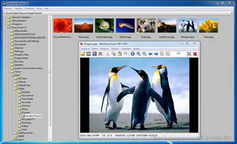 IrfanViewer   Visualizador de imagens gratuito, pequeno e ...